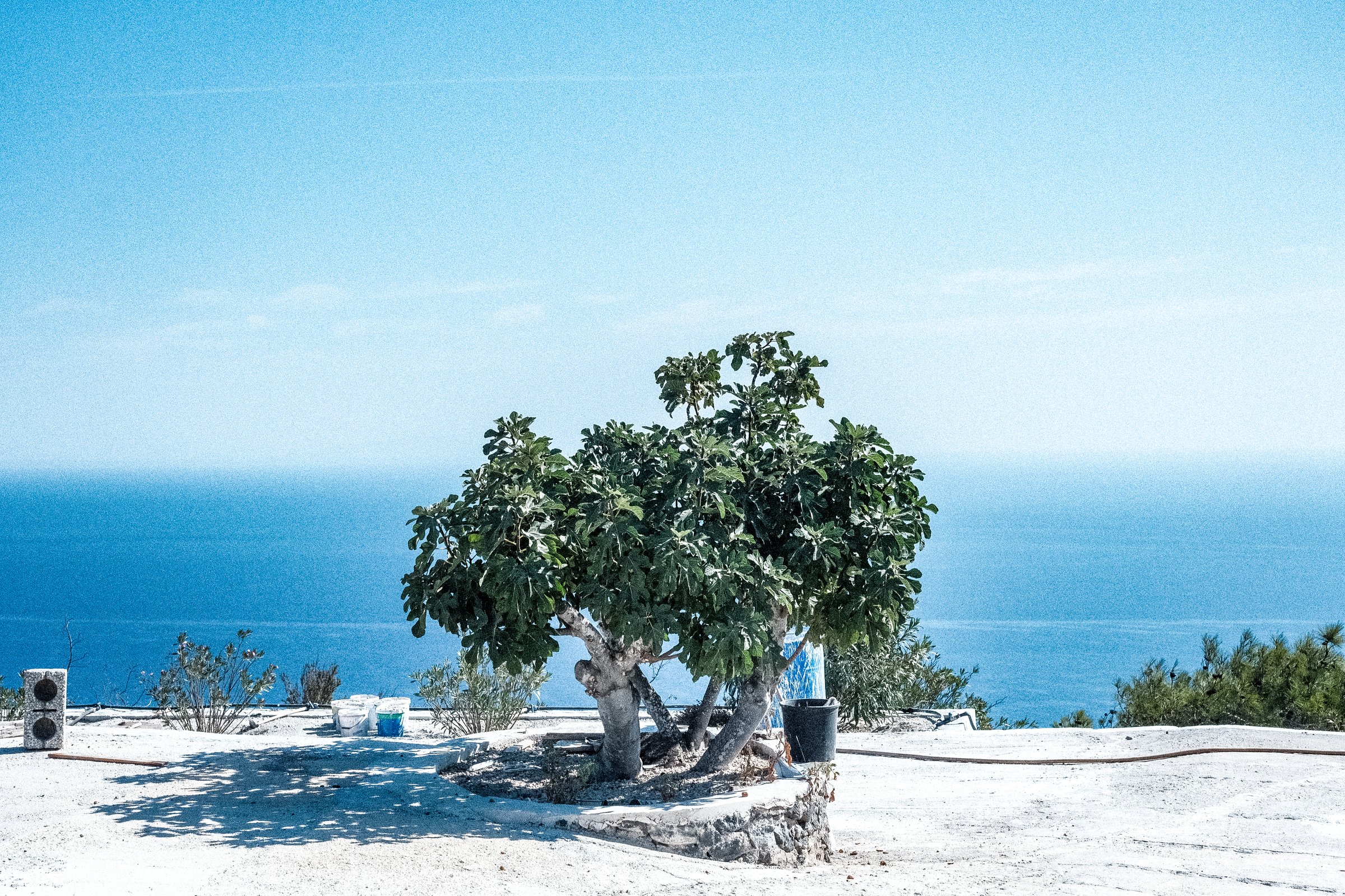 craigcasazzaportfolio 164