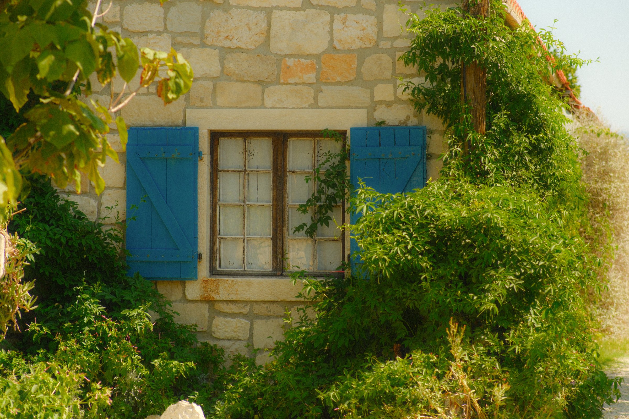 craigcasazzaportfolio 177