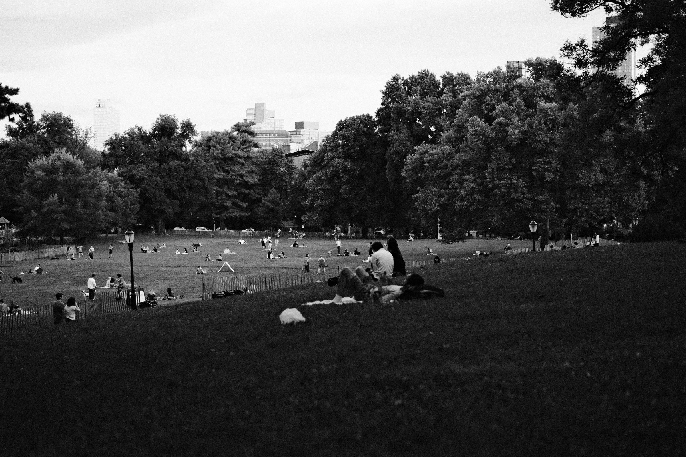 craigcasazzaportfolio 203