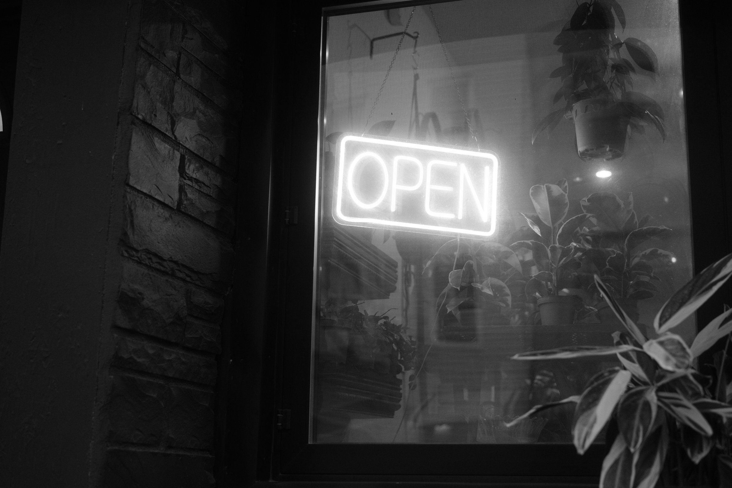 craigcasazzaportfolio 244