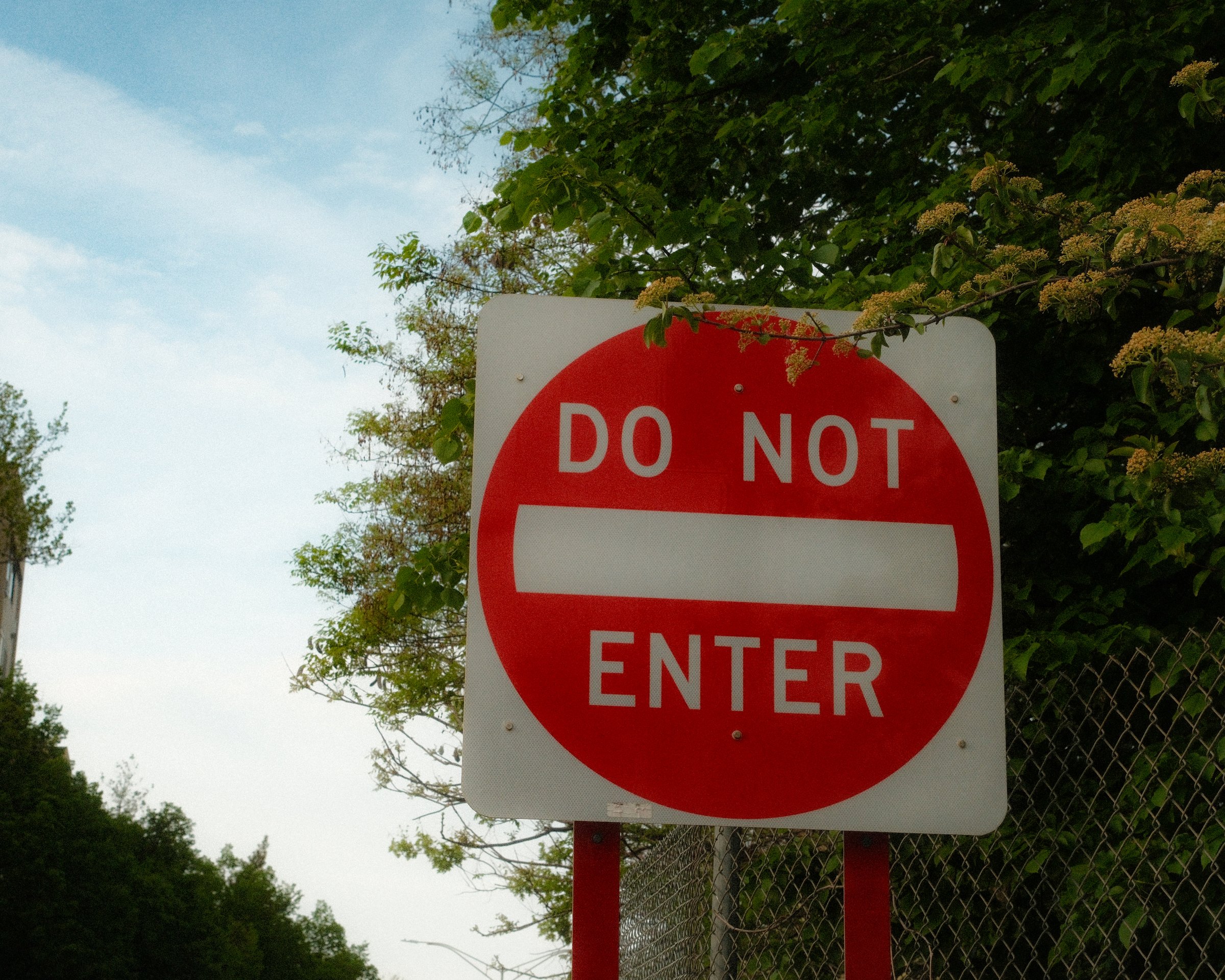 craigcasazzaportfolio 249