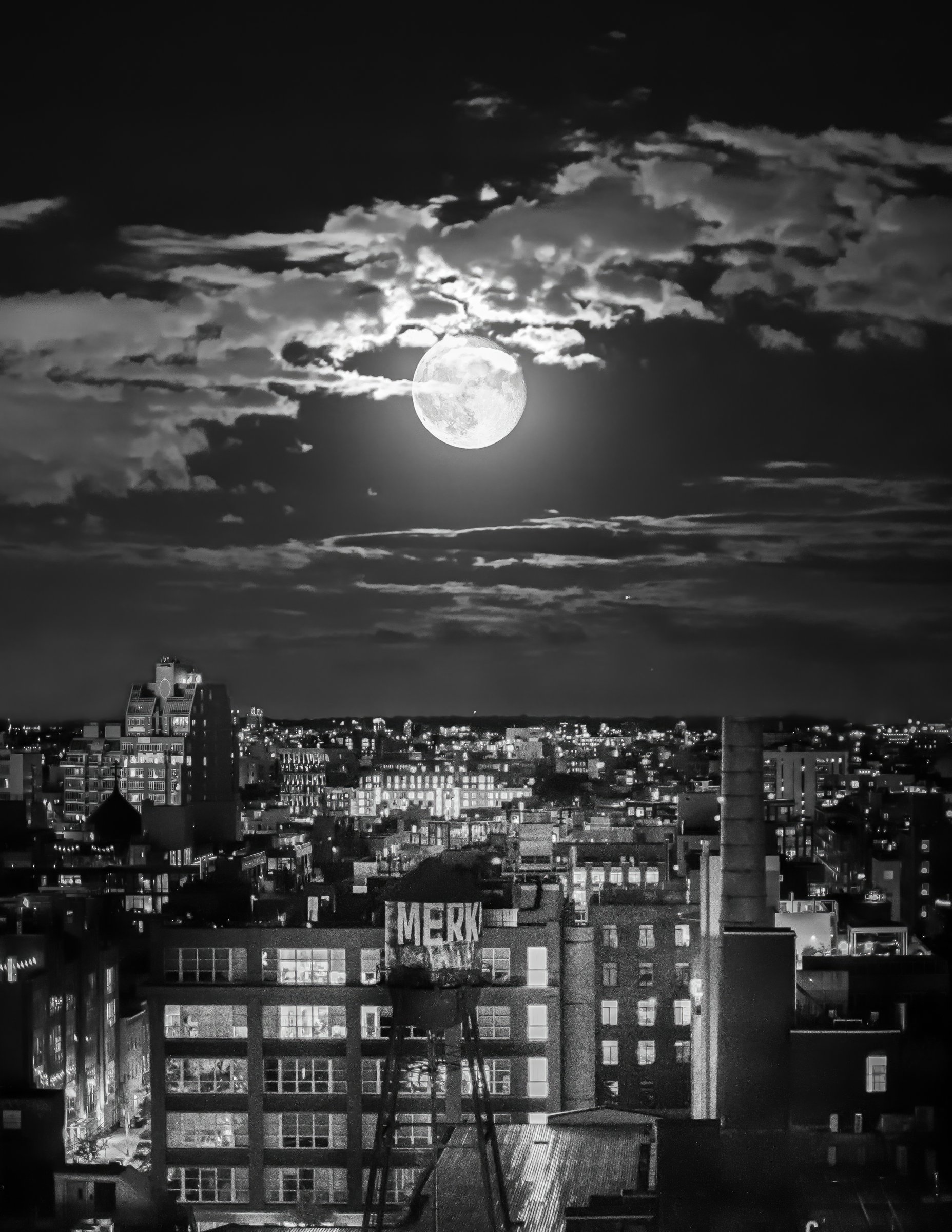 craigcasazzaportfolio 251