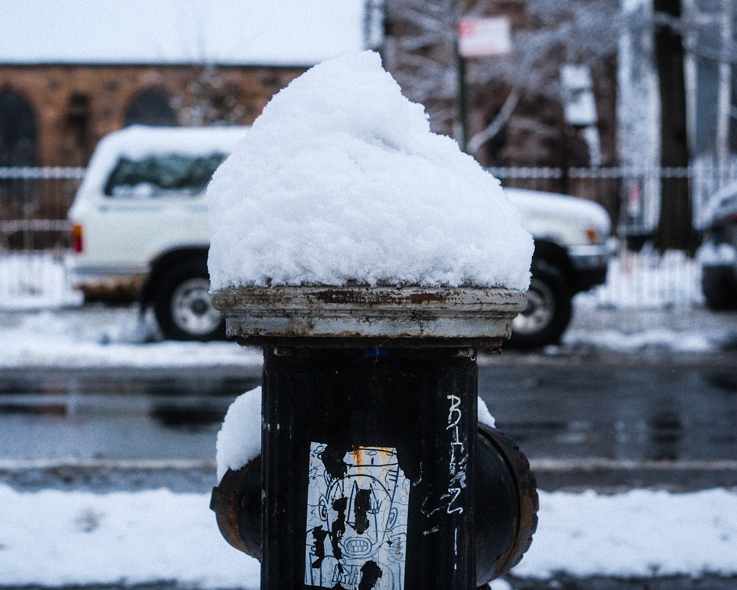 craigcasazzaportfolio 271