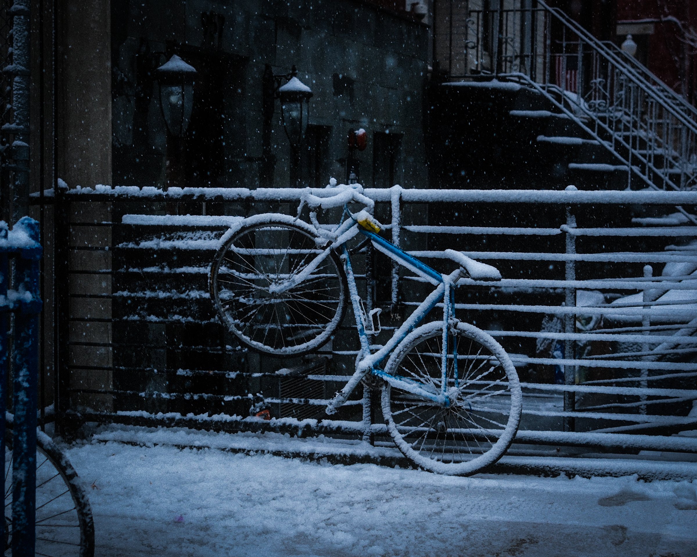 craigcasazzaportfolio 273