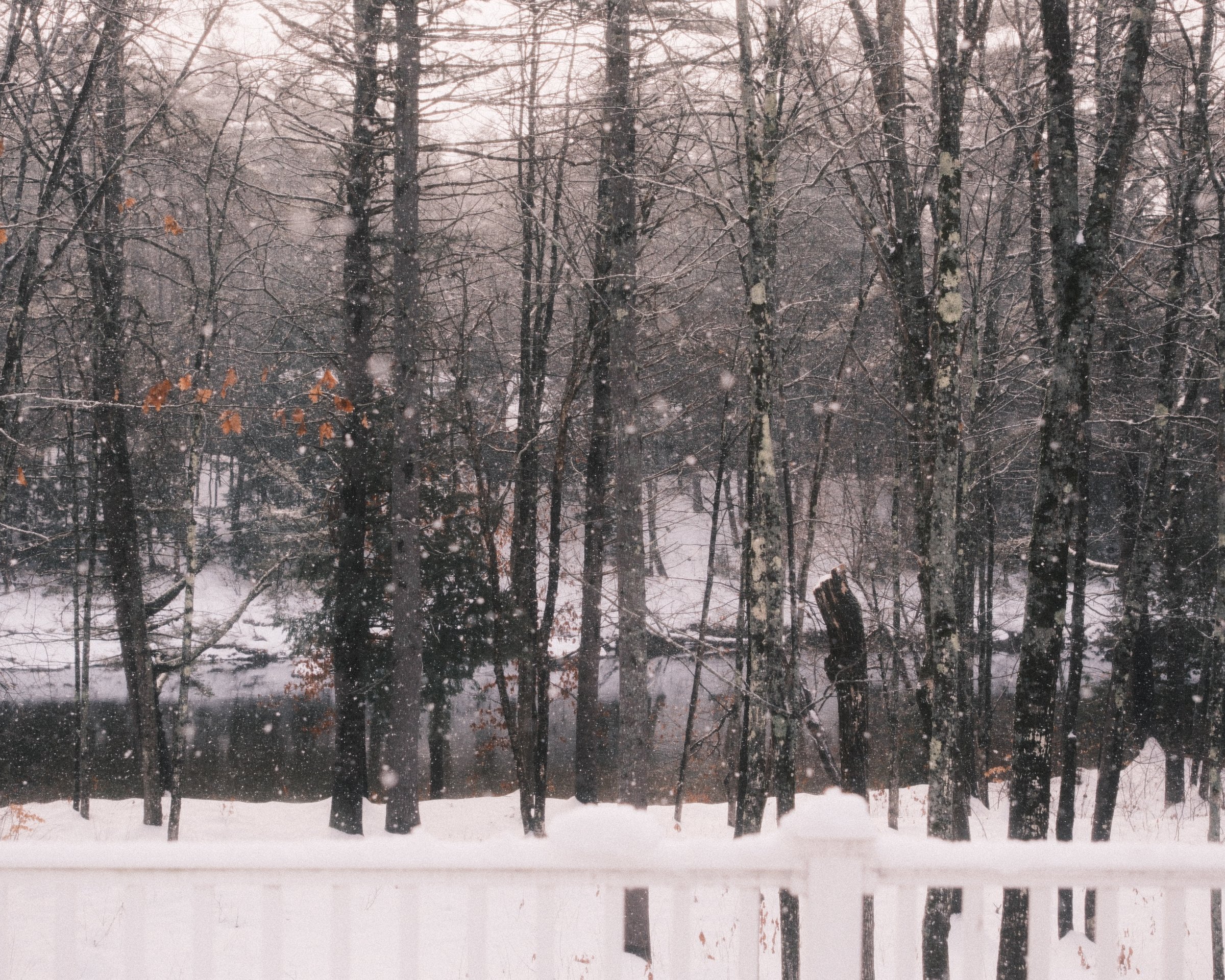 craigcasazzaportfolio 283