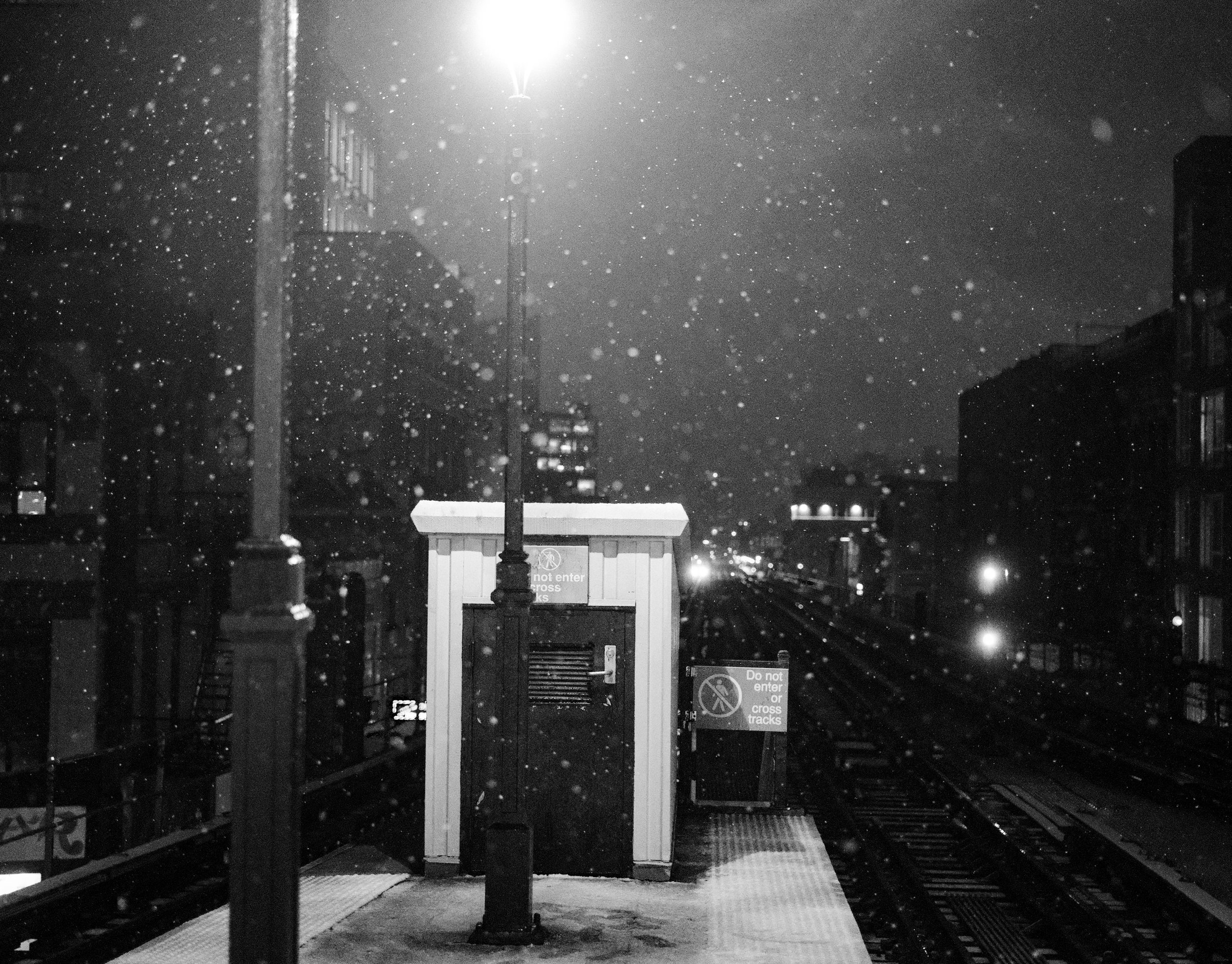 craigcasazzaportfolio 303