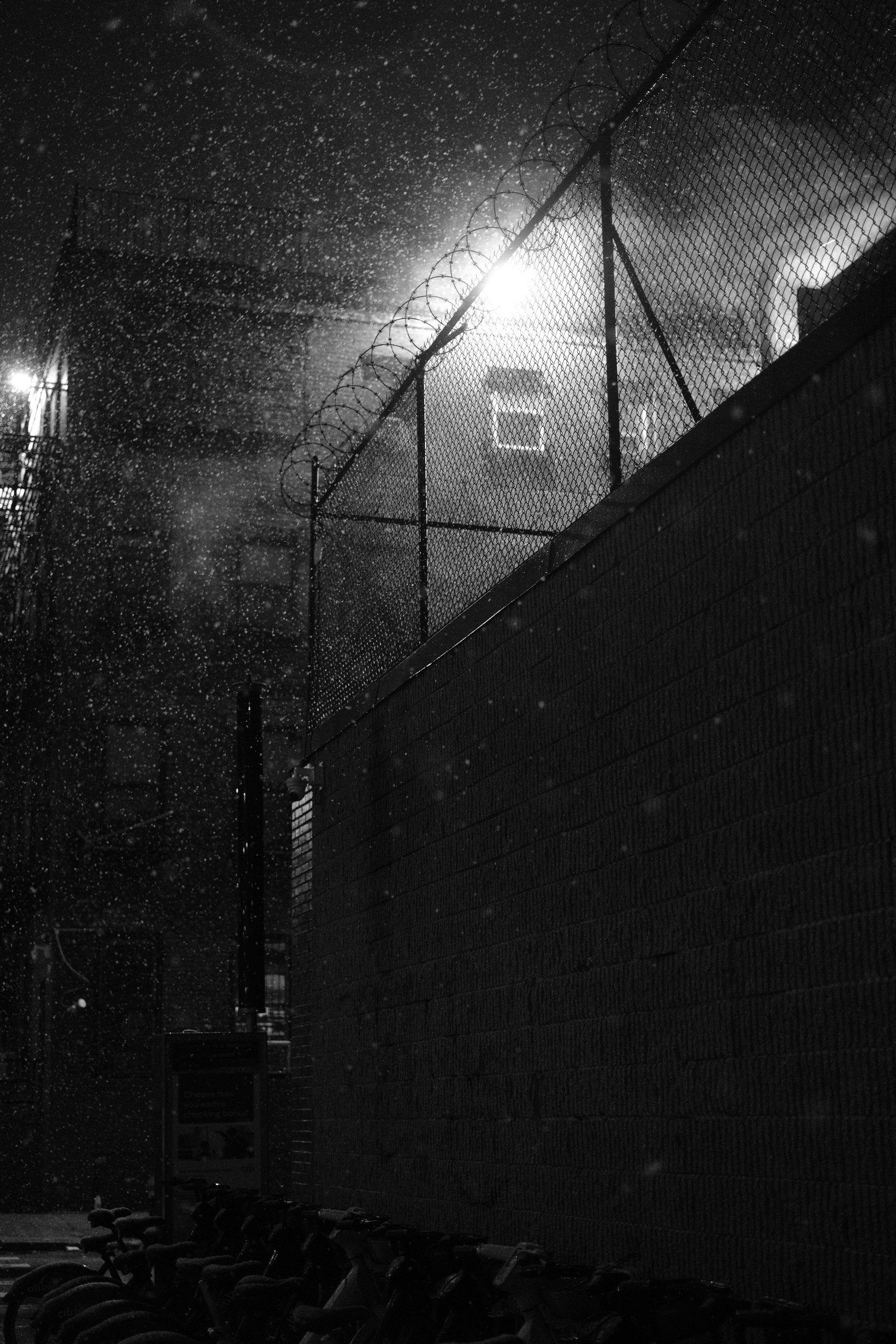 craigcasazzaportfolio 308