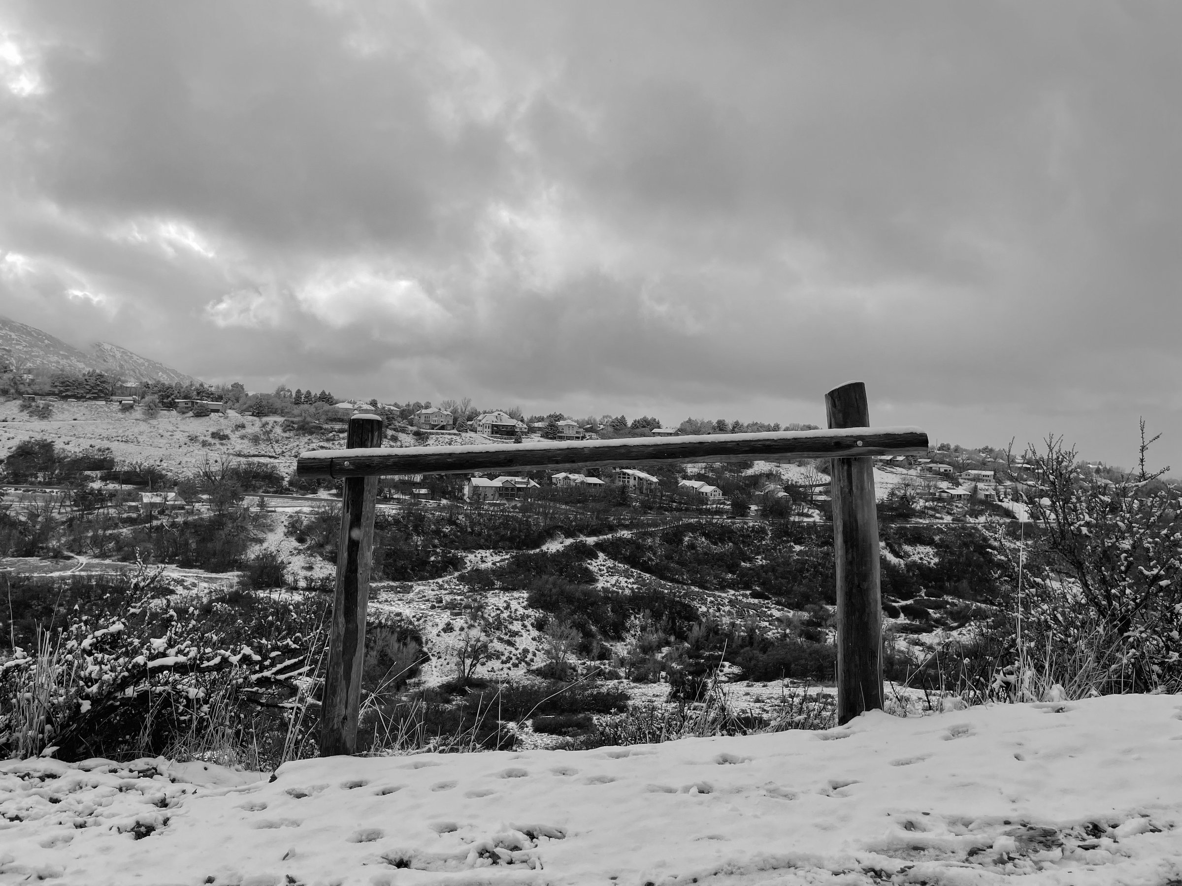 craigcasazzaportfolio 319