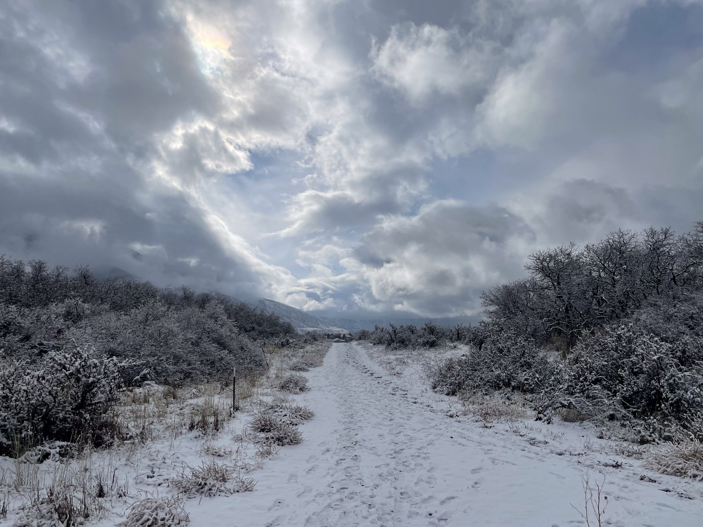 craigcasazzaportfolio 320