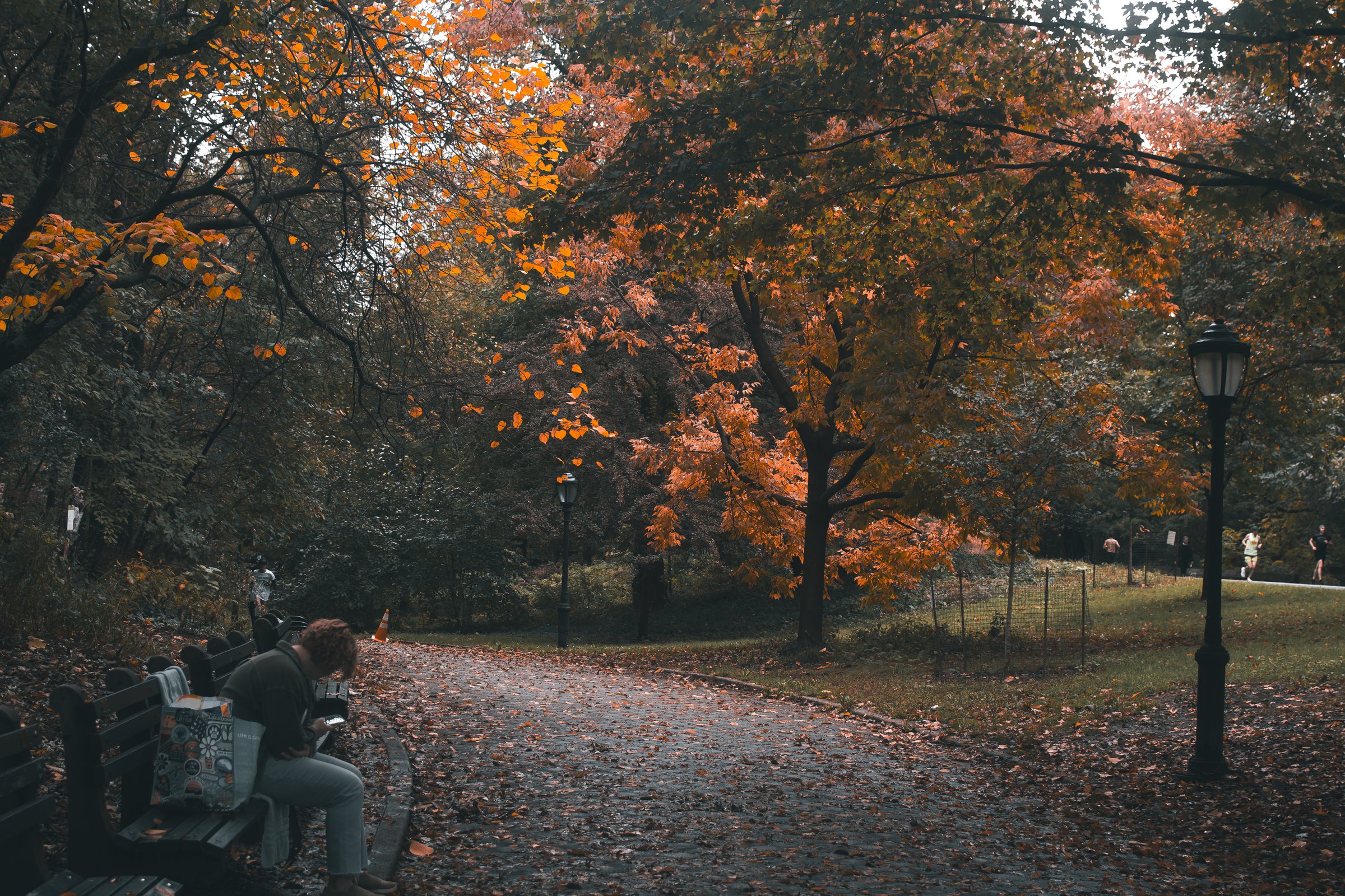 craigcasazzaportfolio 355