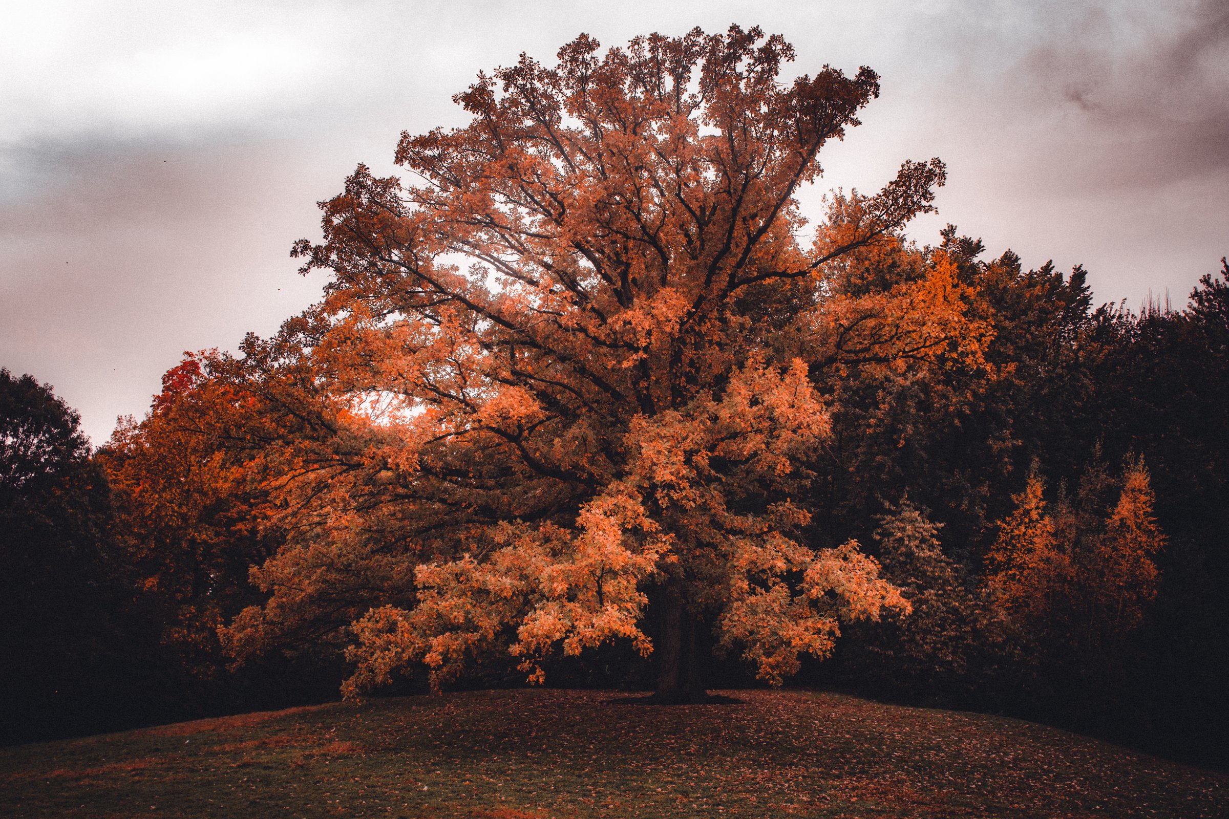 craigcasazzaportfolio 356