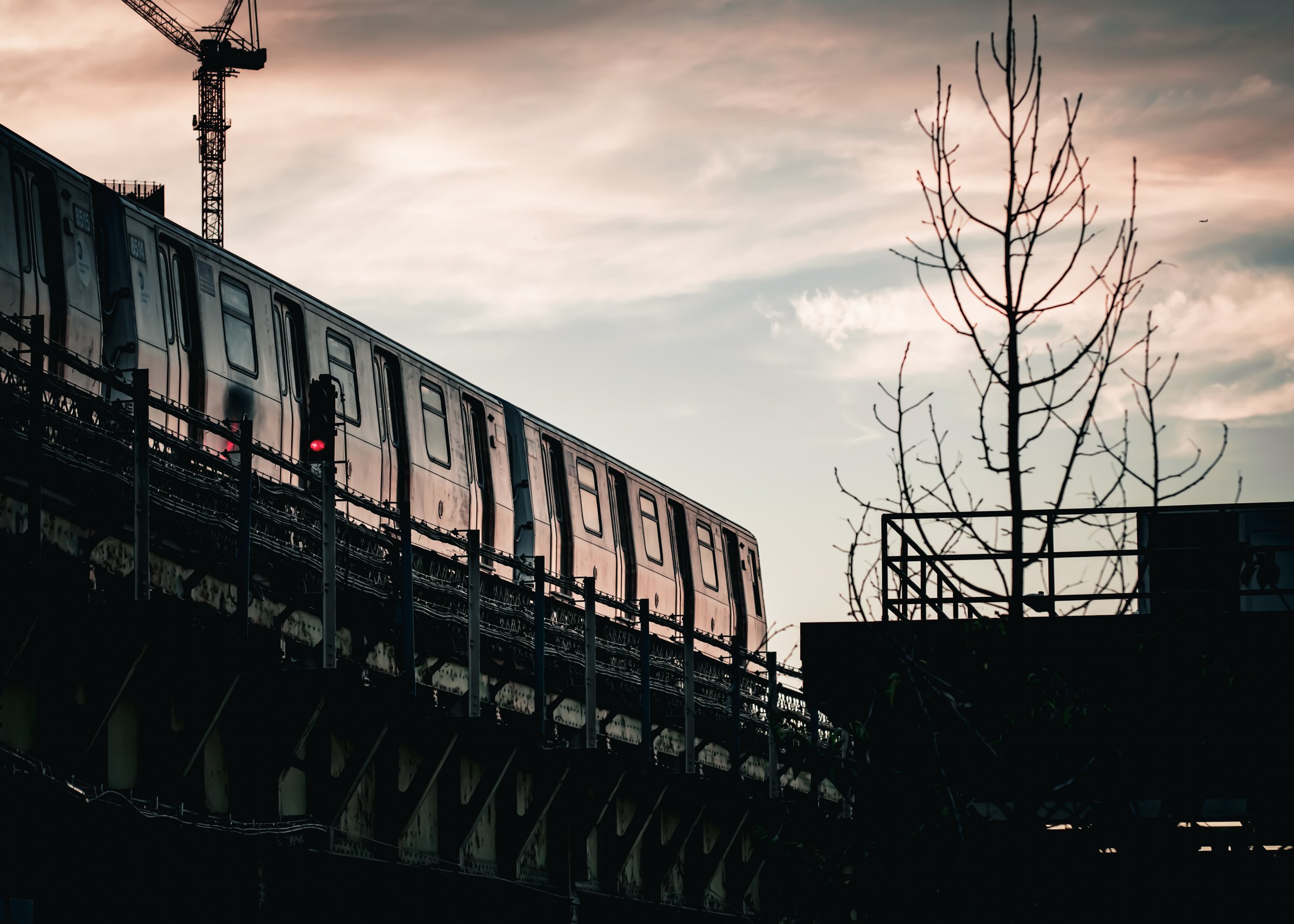 craigcasazzaportfolio 371