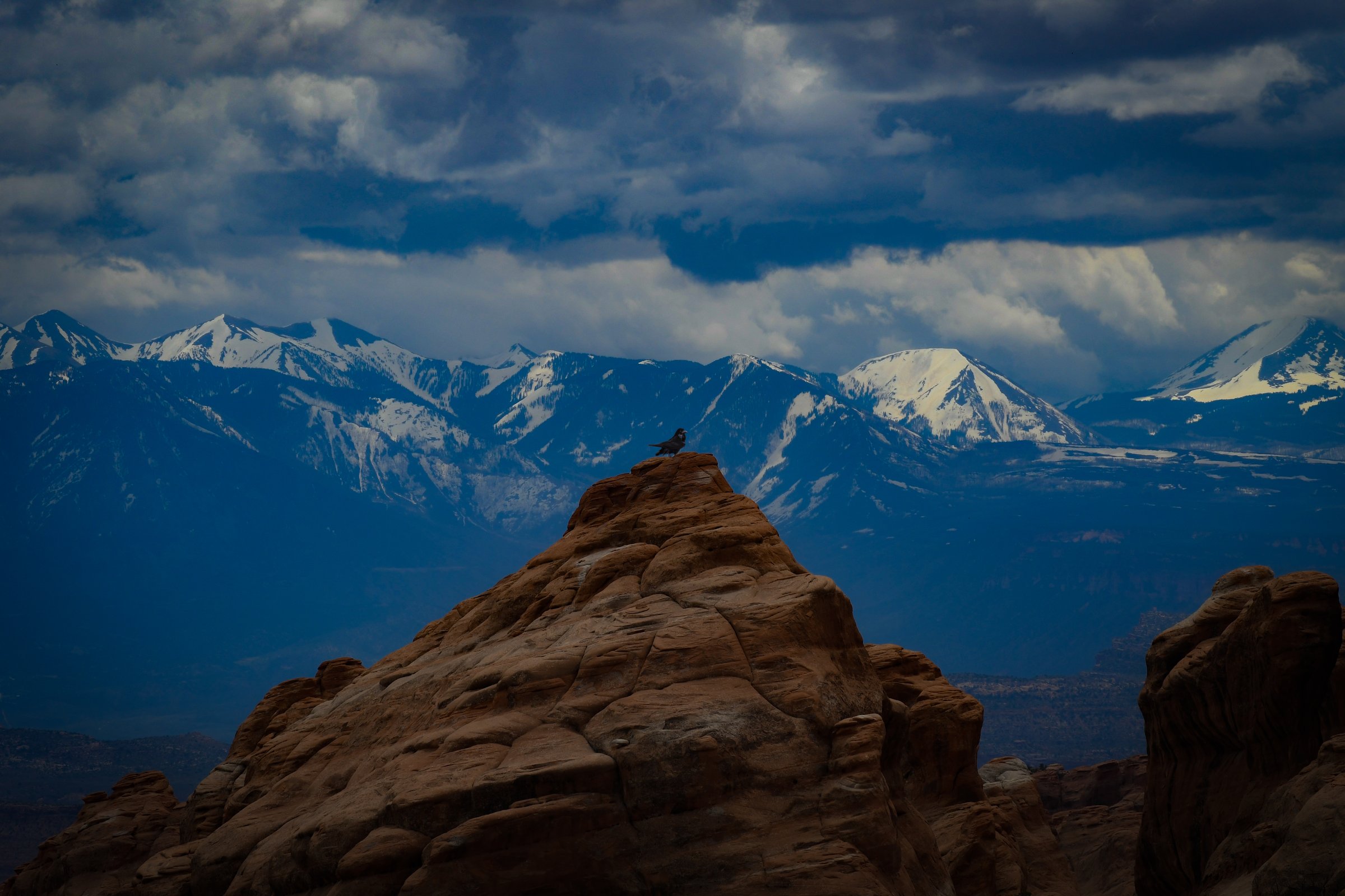 craigcasazzaportfolio 397