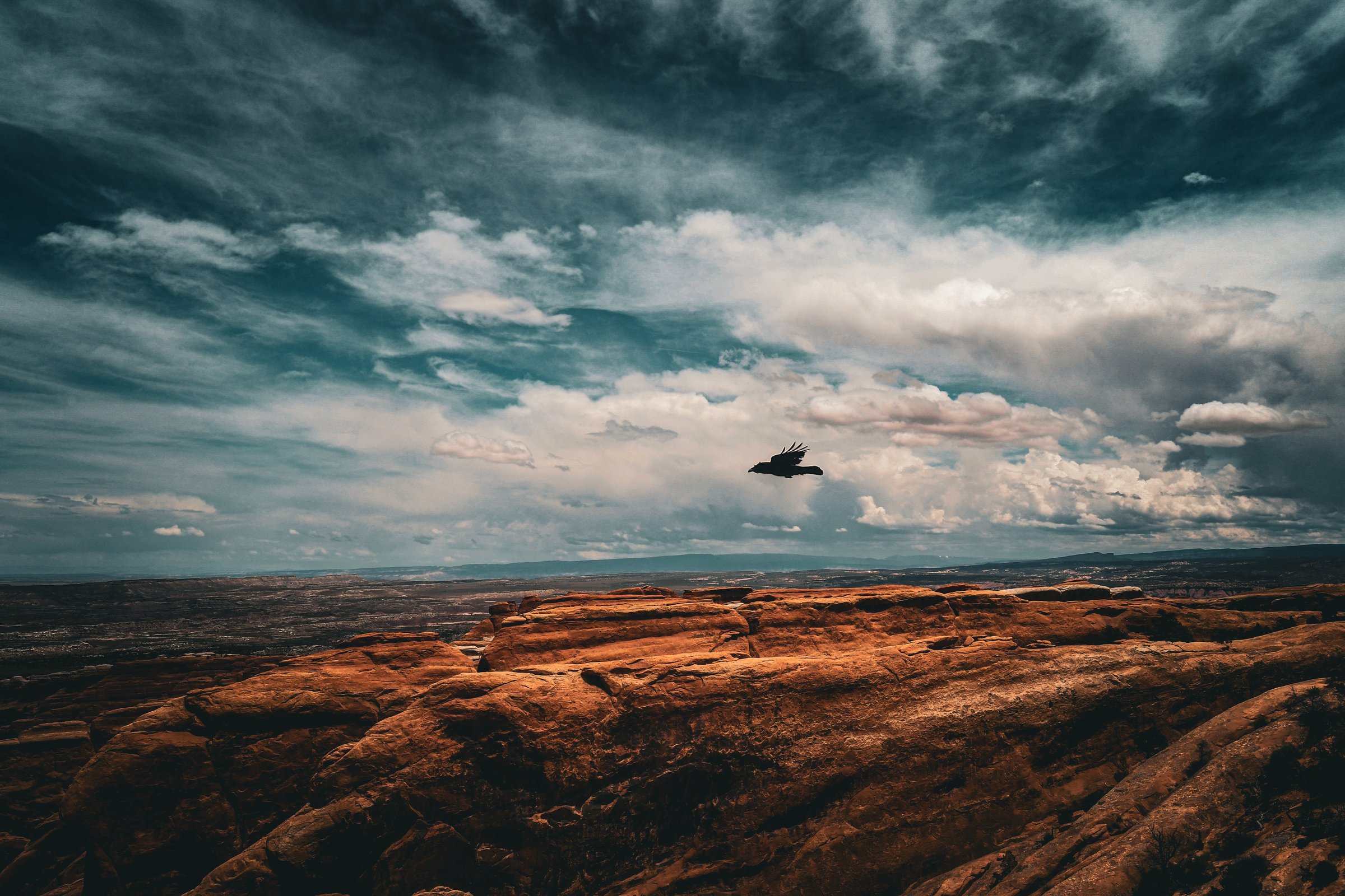 craigcasazzaportfolio 398