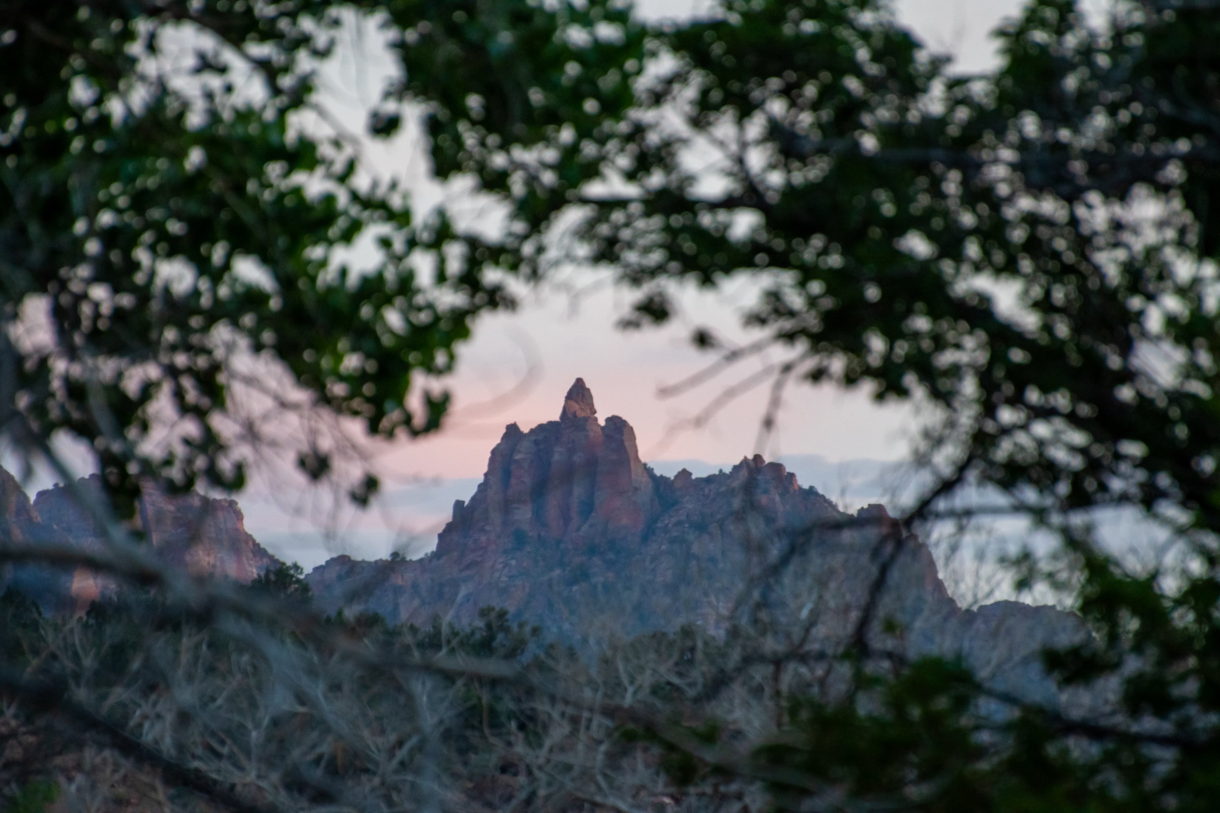 craigcasazzaportfolio 399