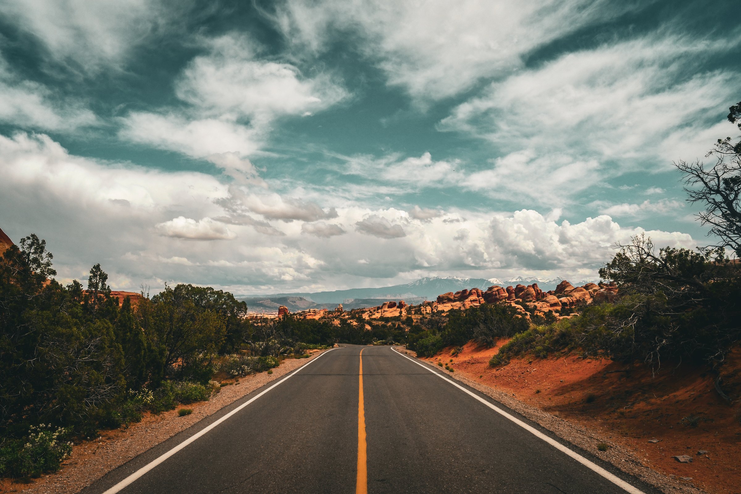 craigcasazzaportfolio 403