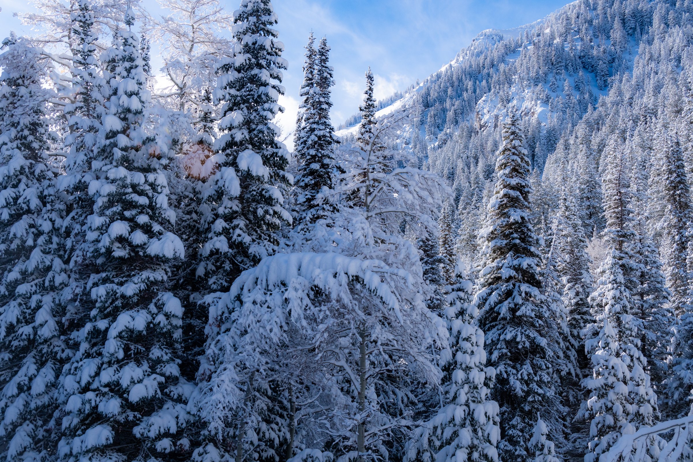 craigcasazzaportfolio 408