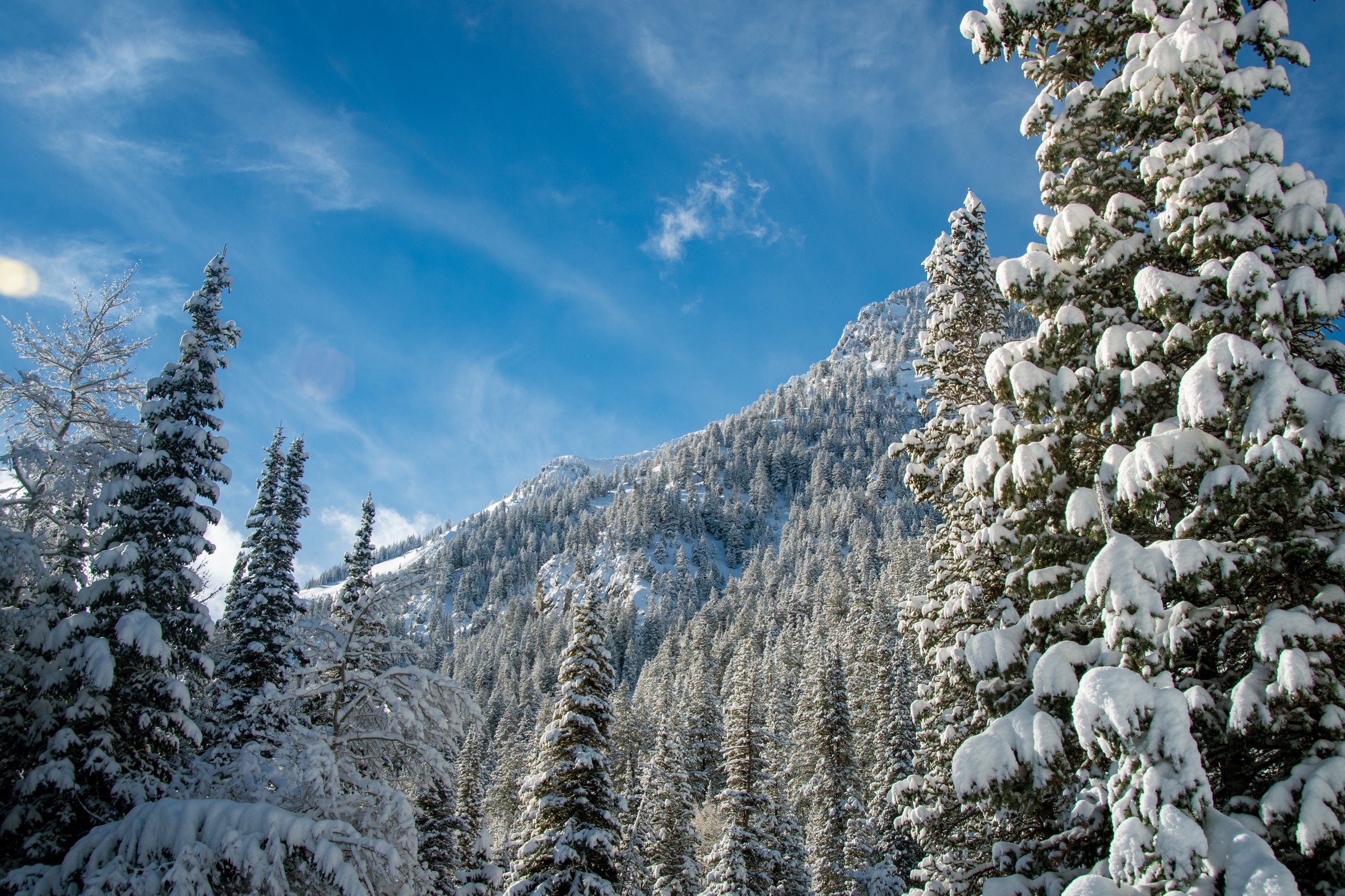 craigcasazzaportfolio 409