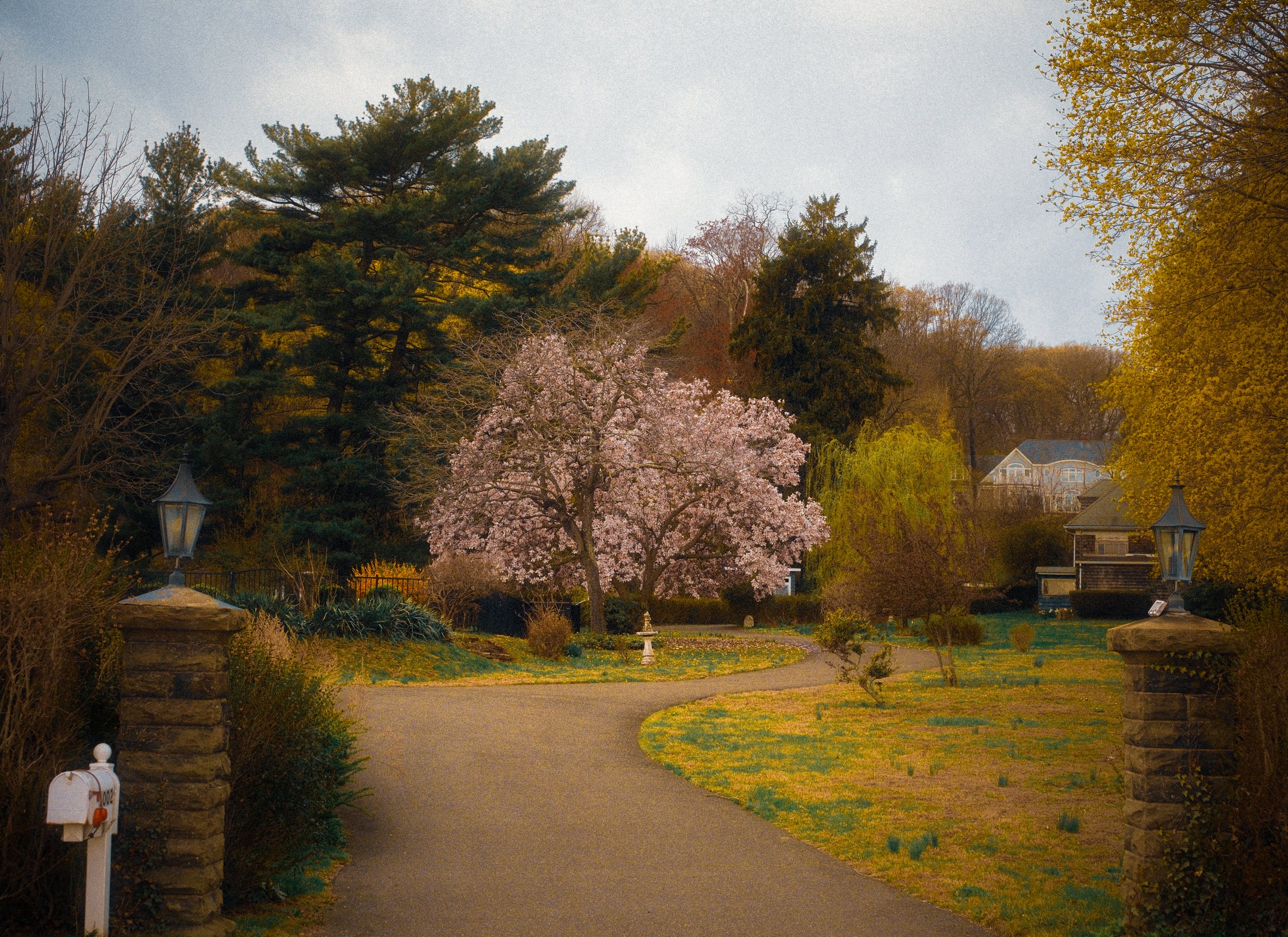 craigcasazzaportfolio 410