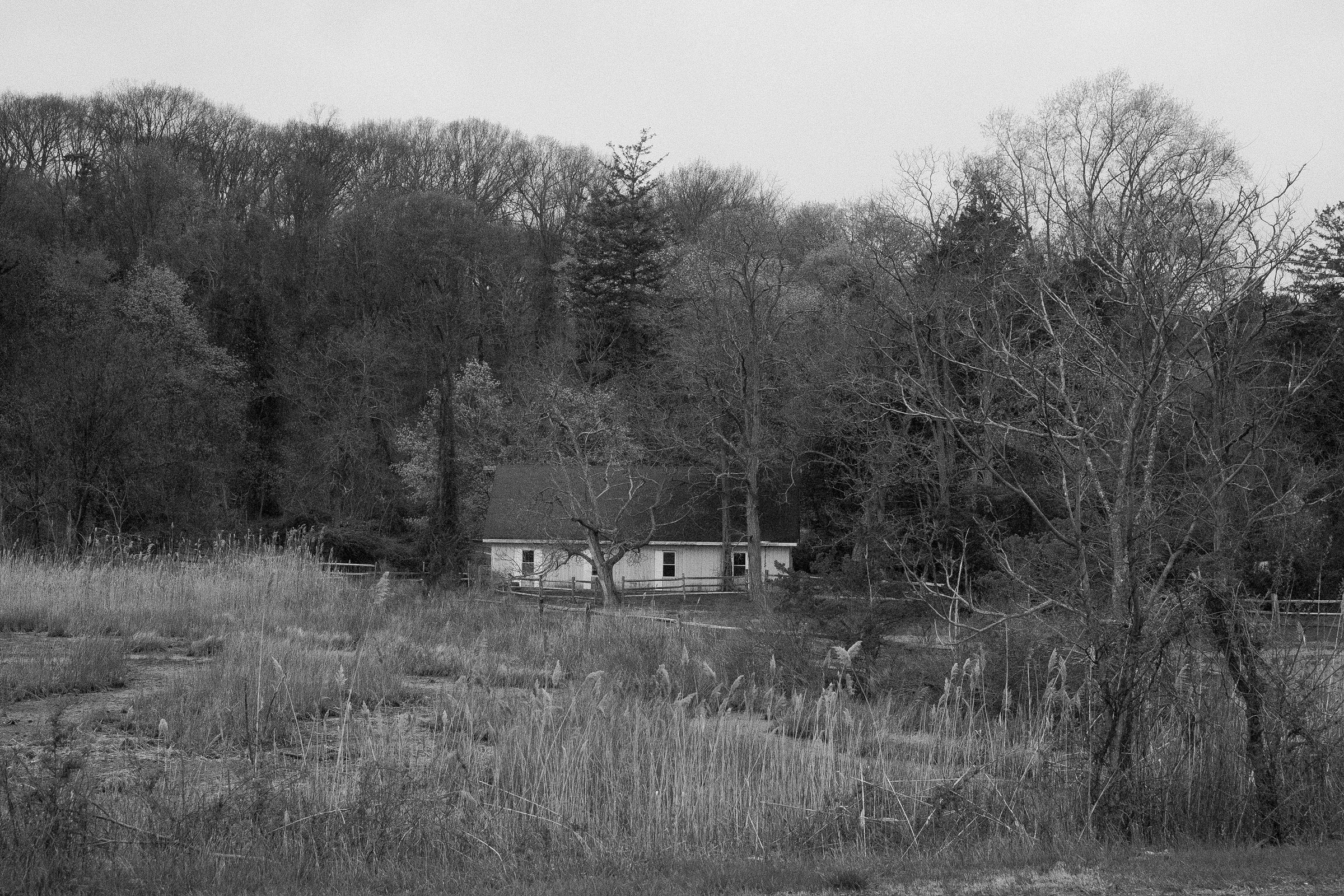 craigcasazzaportfolio 413