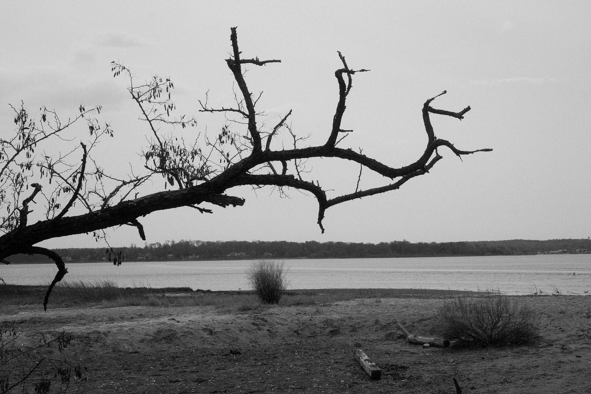 craigcasazzaportfolio 416