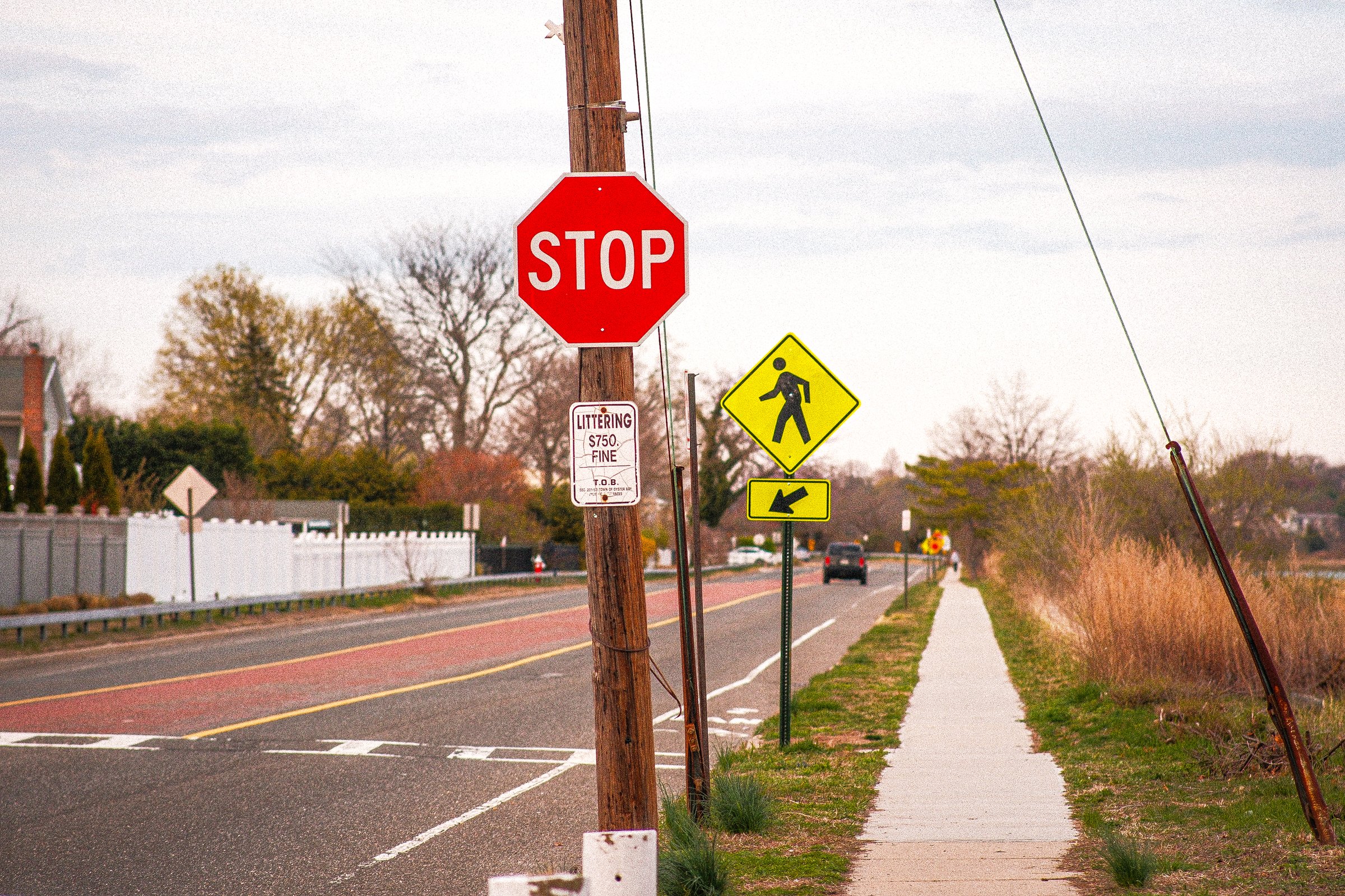 craigcasazzaportfolio 418