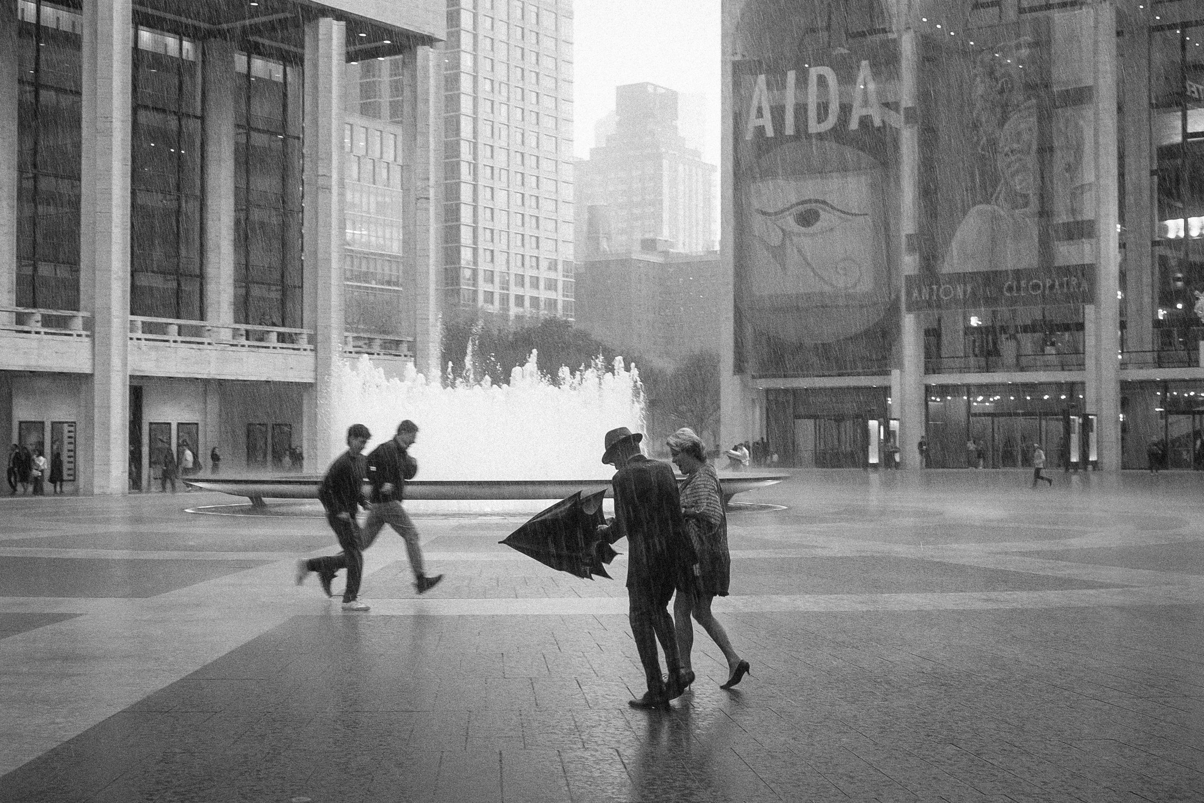 craigcasazzaportfolio 452