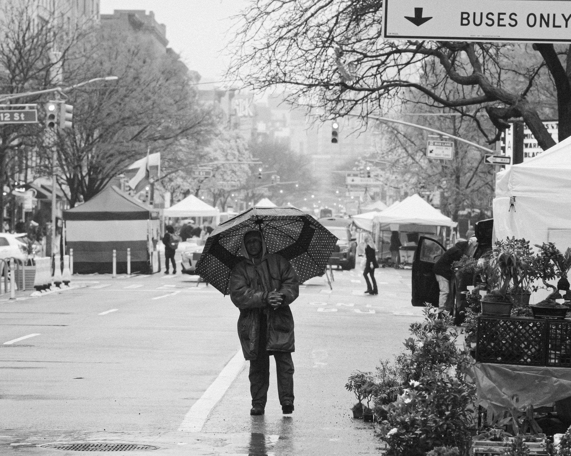 craigcasazzaportfolio 463