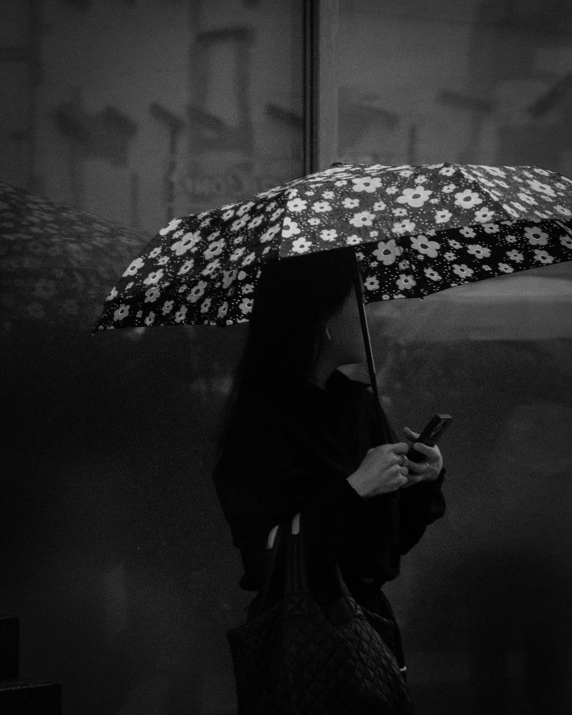 craigcasazzaportfolio 502