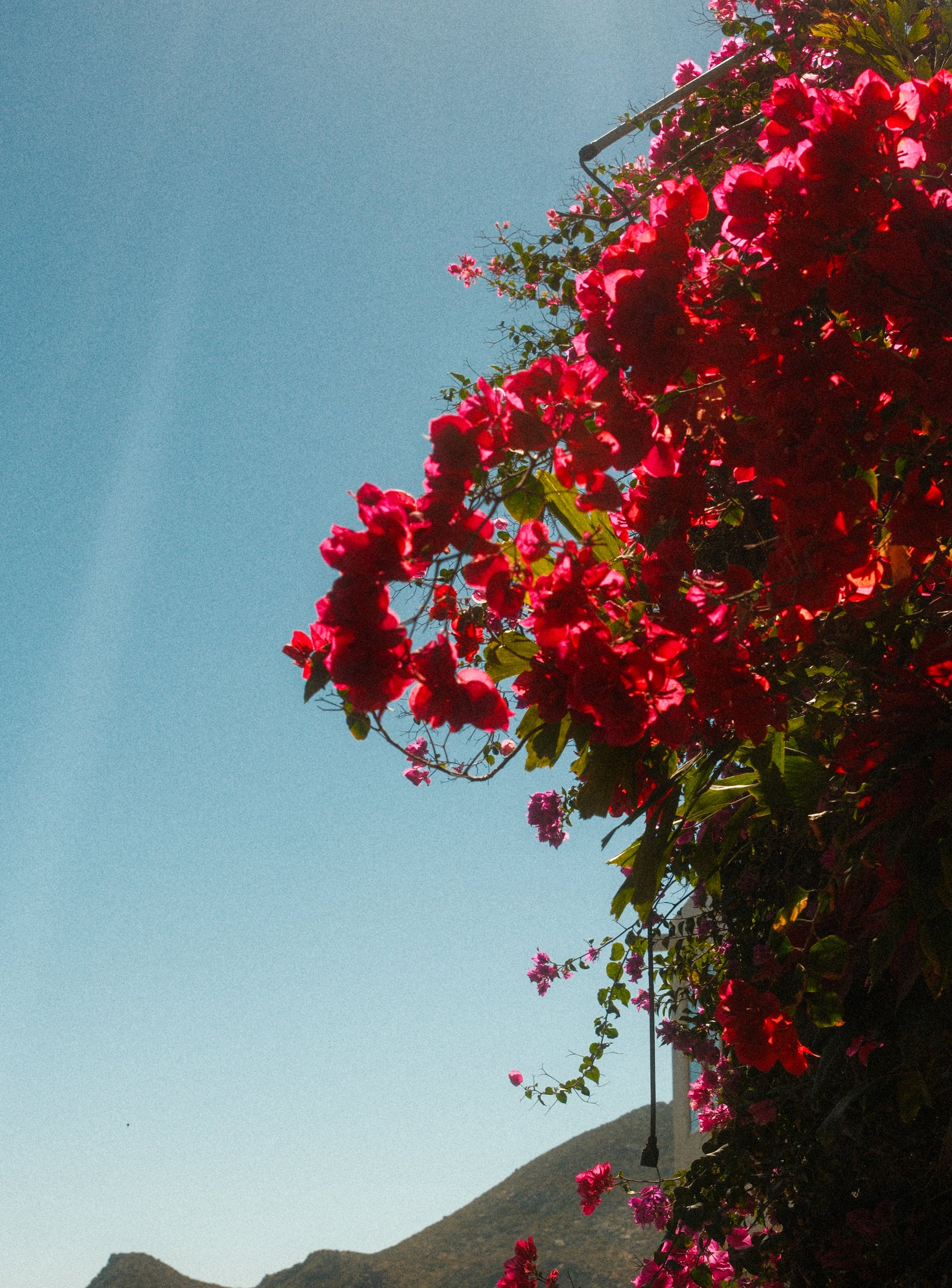 craigcasazzaportfolio 68