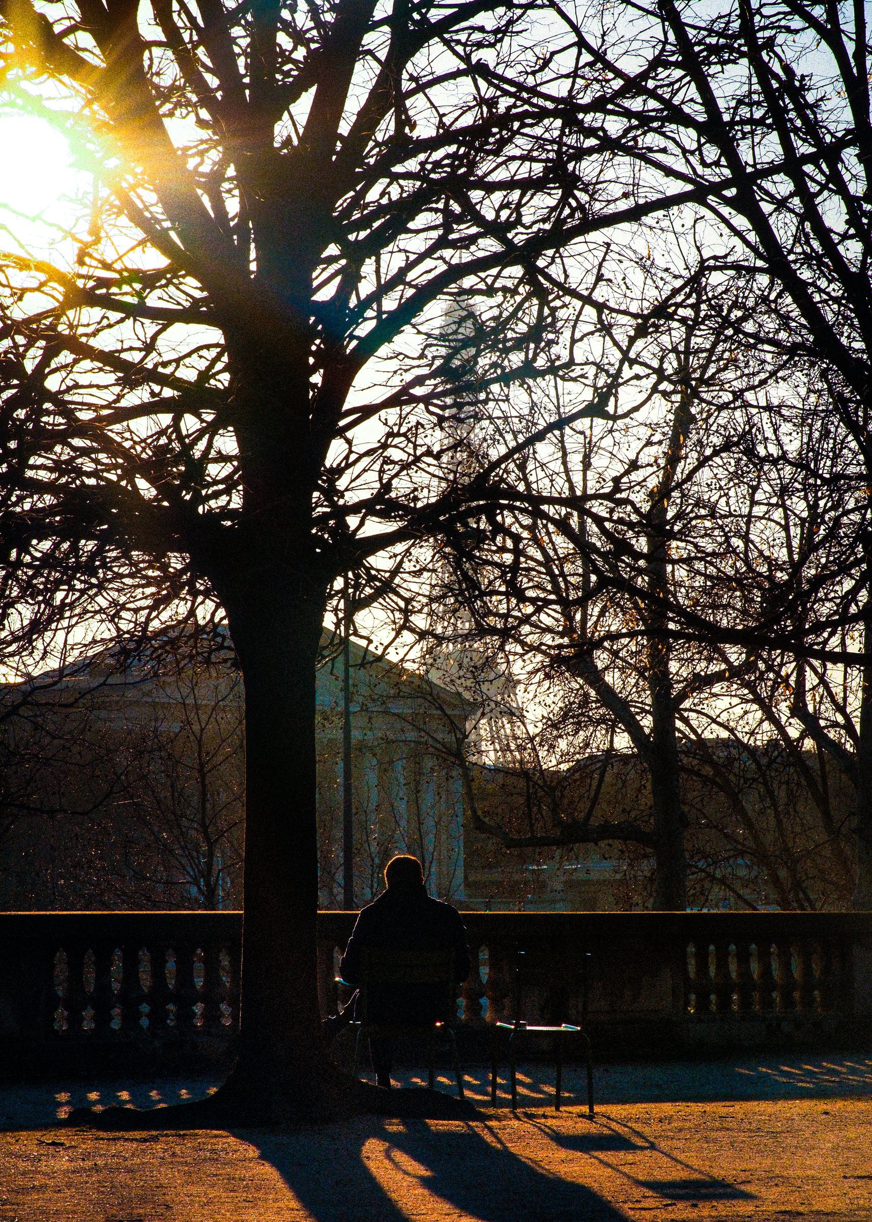 craigcasazzaportfolio 8