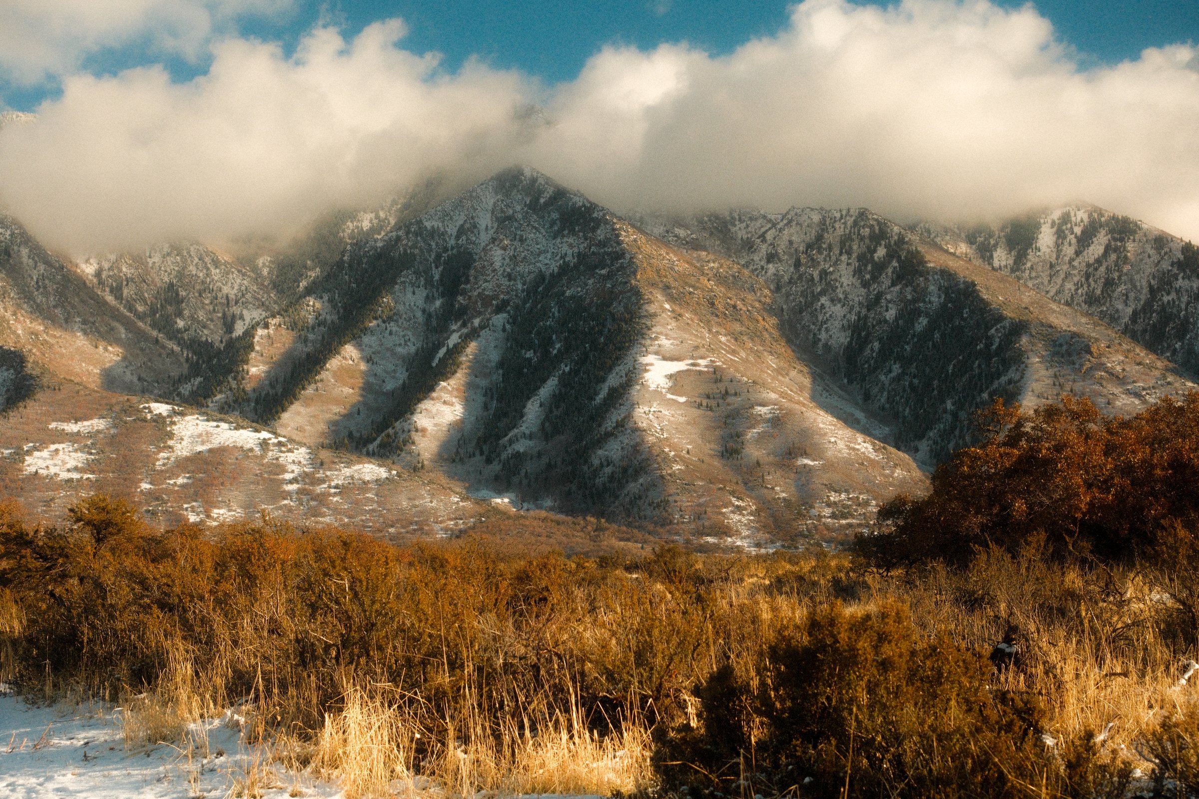 craigcasazzaportfolio 98