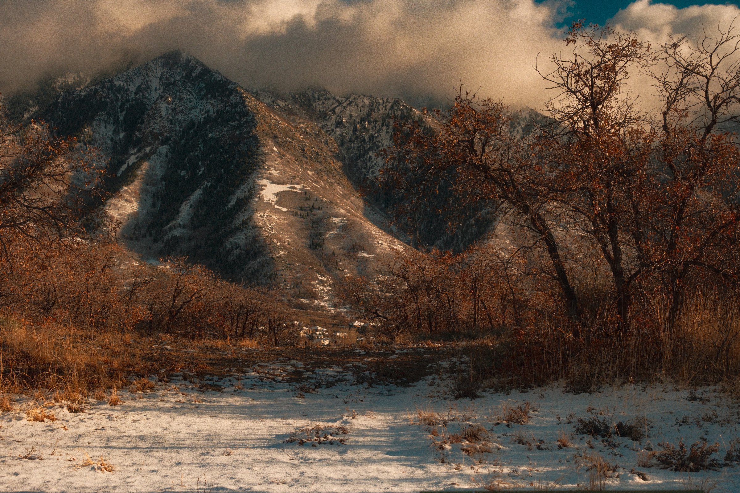 craigcasazzaportfolio 99